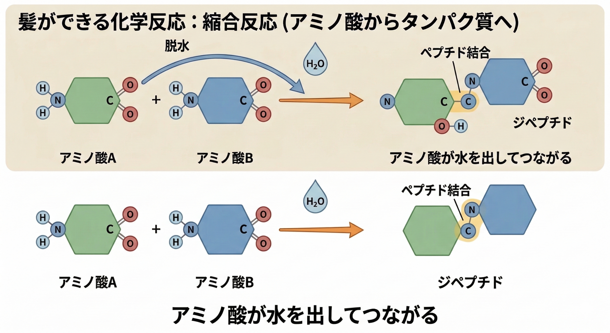 理論1：縮合反応