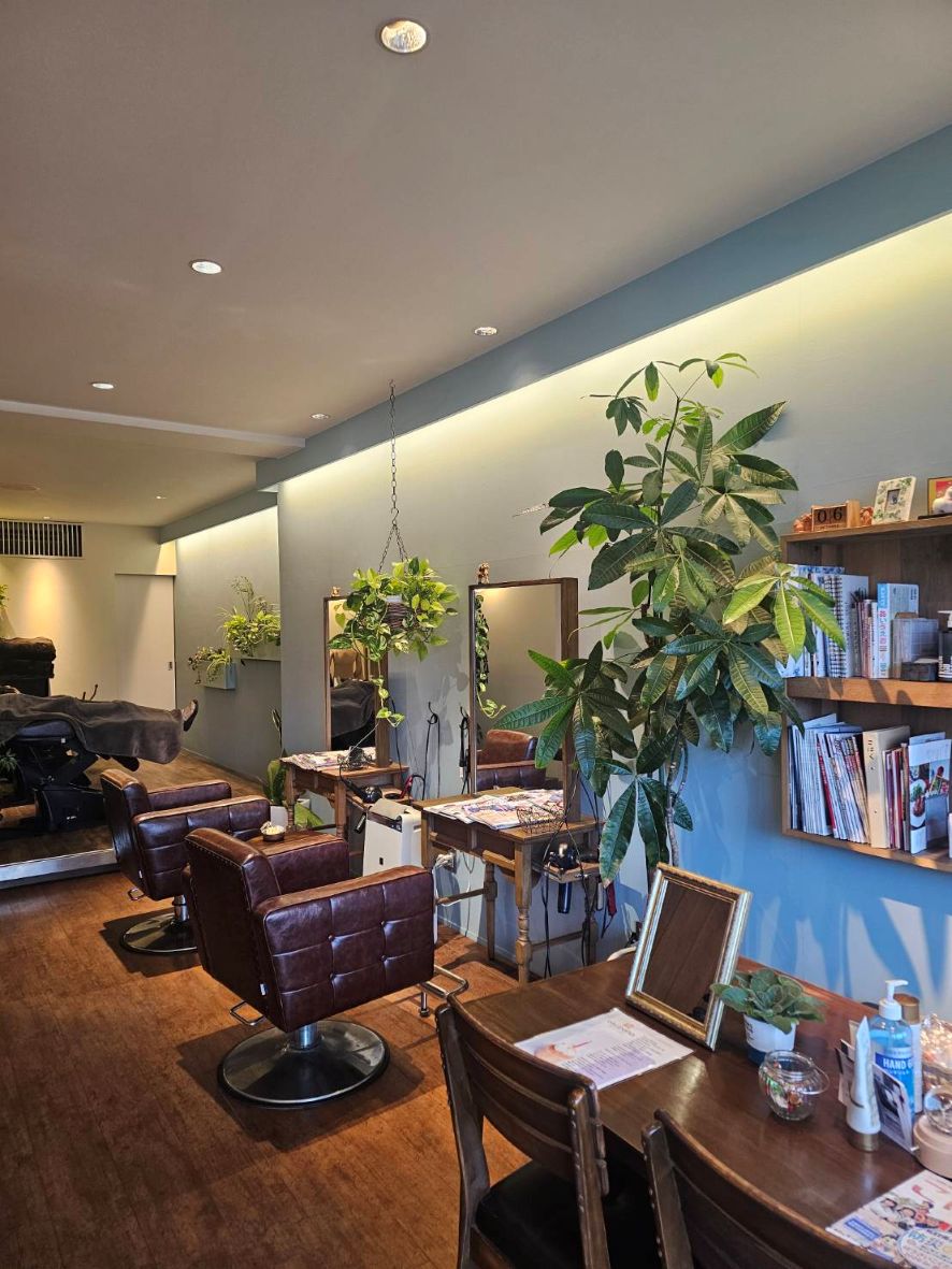 olu pono HAIR MAKEの店内。観葉植物と木の鏡、ブラウンのセット椅子が並ぶ空間